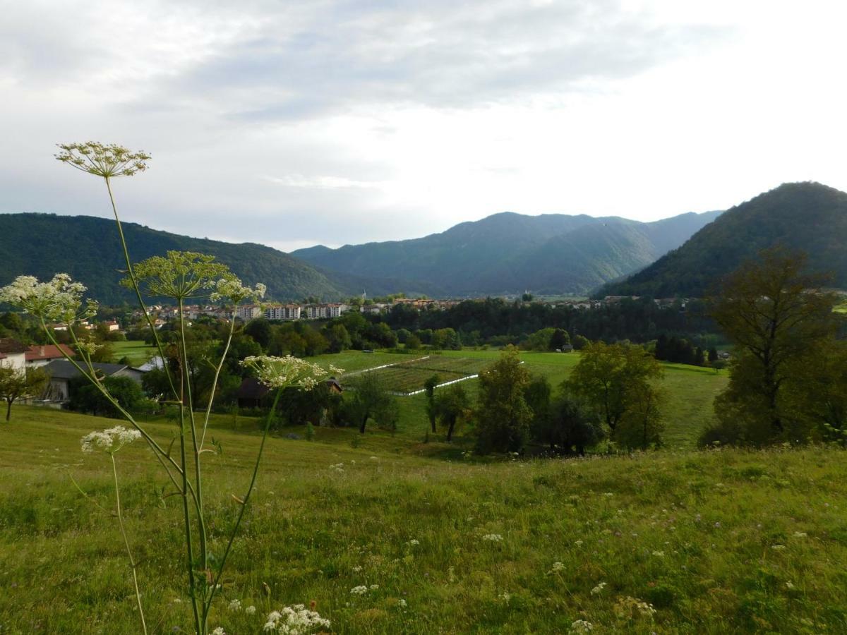 Apartment Vista Tolmin Eksteriør billede